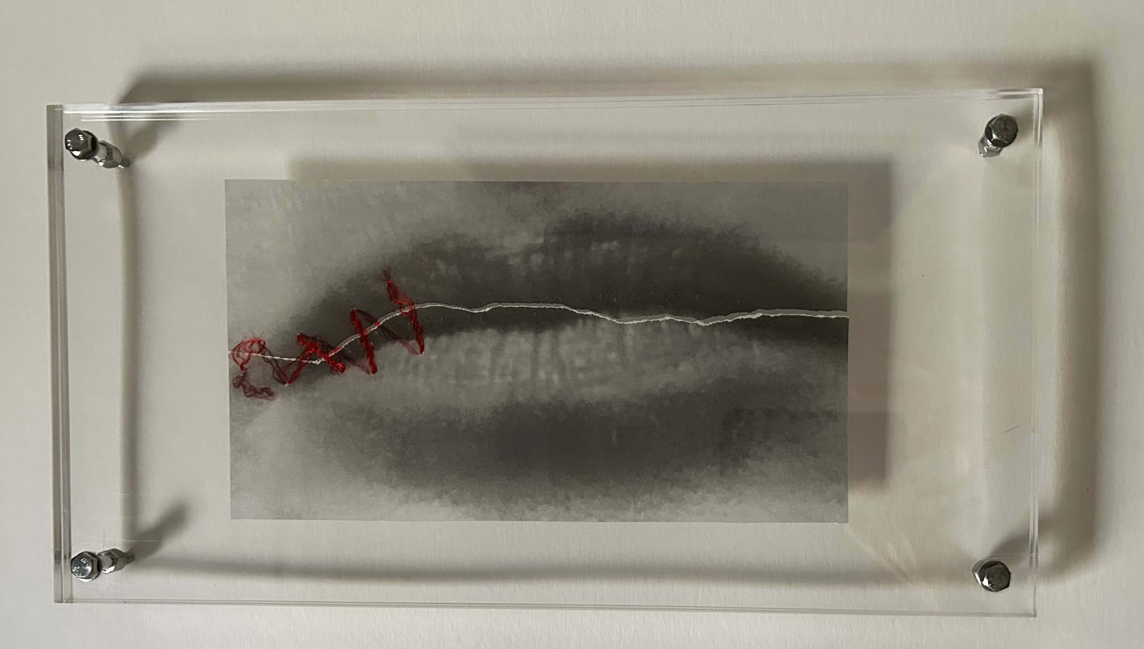 Obra de Paula Hacker - Silencio. Acrílico, hilo e impresión digital. 23 x 45 x 3,5 cm. 2024.